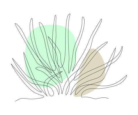 [object Object] undefined