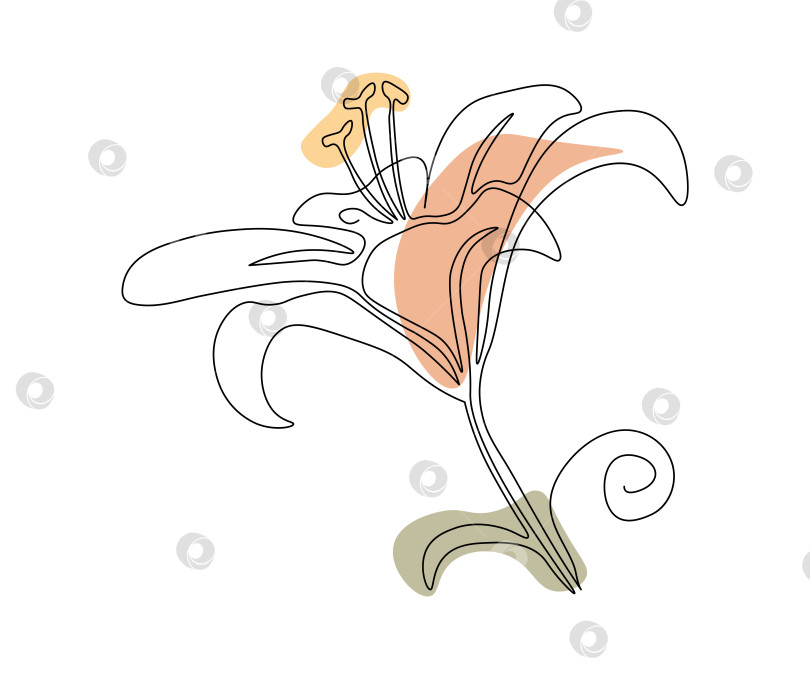 Скачать Цветок лилии мотылька нарисован от руки в минималистском стиле, в технике одной линии, монолинии. Символ косметики, логотип салона красоты. фотосток Ozero
