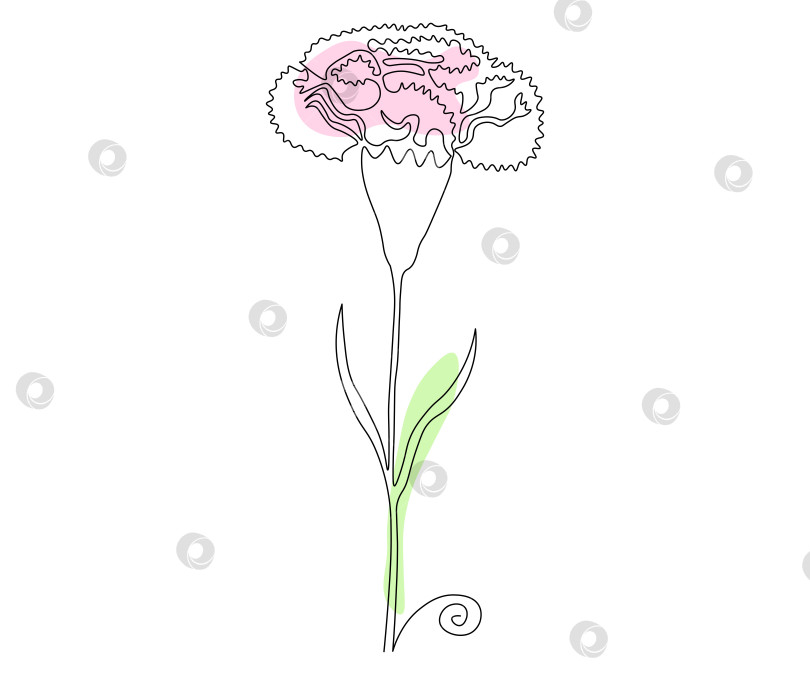 Скачать цветок гвоздики нарисован от руки в минималистском стиле, в технике one line, монолиния. Символ косметики, логотип салона красоты фотосток Ozero