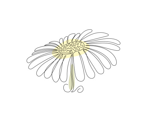 [object Object] undefined