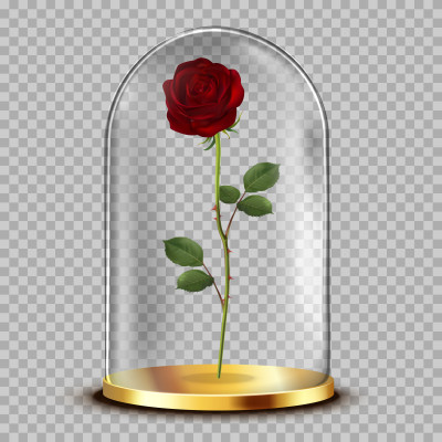 [object Object] undefined