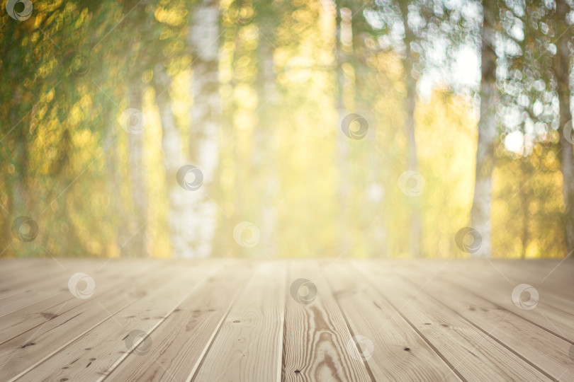 Скачать композиция из деревянного настила и размытого естественного фона с деревьями фотосток Ozero