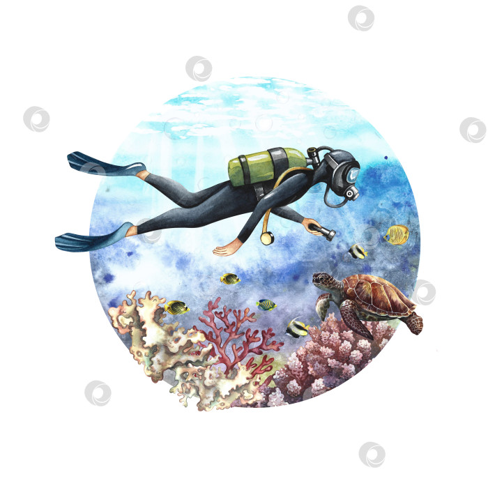 Скачать Ныряльщик плавает под водой на дне моря. Подводное путешествие. Нарисованный акварелью от руки. Концепция этикетки, магнита фотосток Ozero
