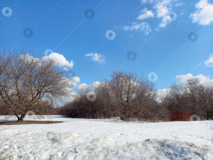 Скачать Атмосфера ранней весны. Тающий снег, деревья и голубое небо в солнечный мартовский день фотосток Ozero