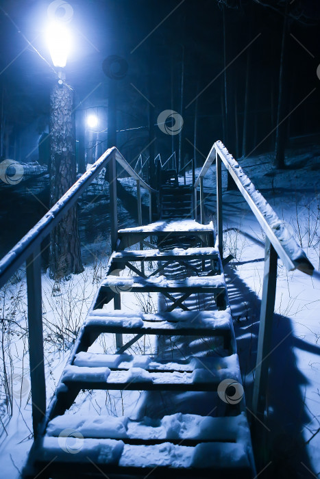 Скачать лестница в зимнем лесу ночью фотосток Ozero