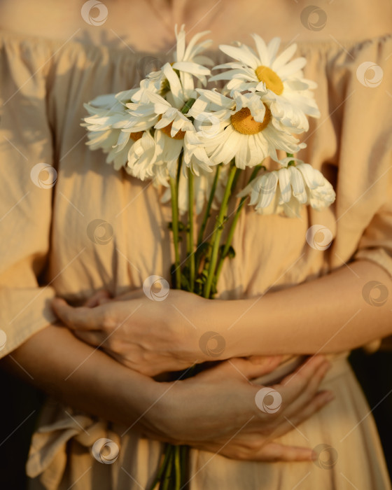 Скачать Девушка с маргаритками. Женщина прижимает к груди букет цветов. фотосток Ozero