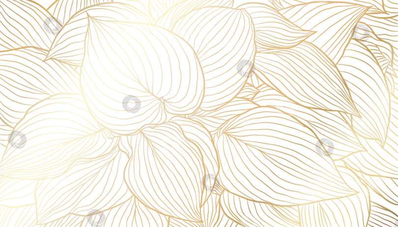 Скачать Золотые листья, нарисованные от руки линейным рисунком на белом фоне фотосток Ozero