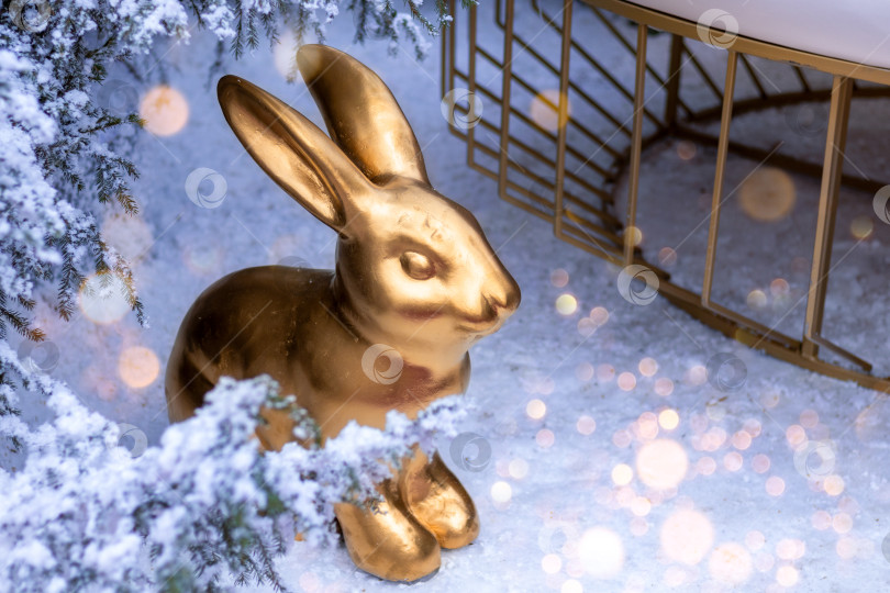 Скачать Золотой кролик - символ китайского Нового года на рождественской елке, покрытой снегом, на открытом воздухе в ясный зимний день. С наступающим Новым 2023 годом. Место для текста. Планировка, макет фотосток Ozero