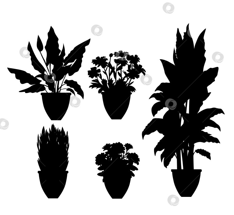 Скачать силуэты векторных растений фотосток Ozero