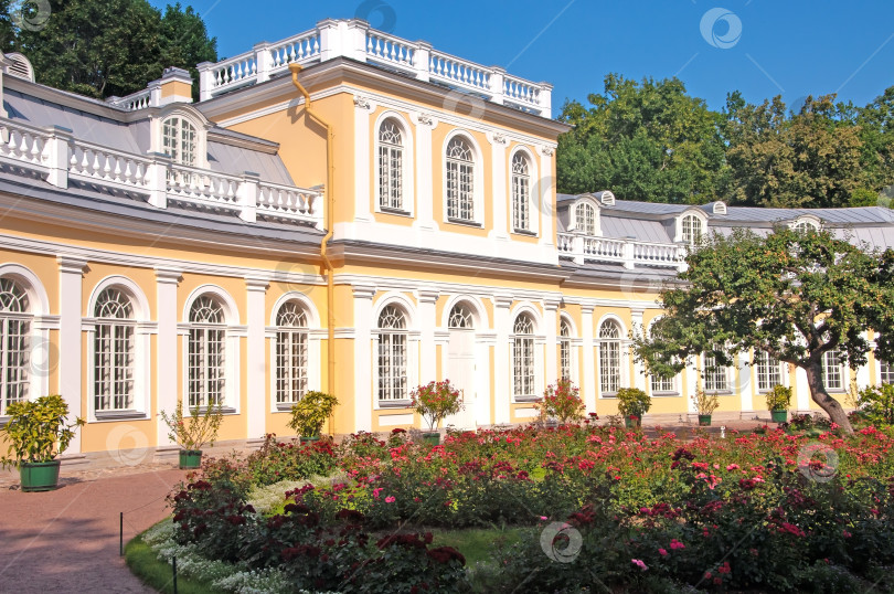 Скачать Санкт-Петербург, Россия - Оранжерея Петергофского дворца фотосток Ozero