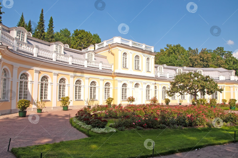 Скачать Санкт-Петербург, Россия - Оранжерея Петергофского дворца фотосток Ozero