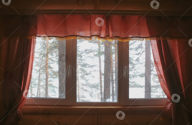 Скачать вид на зимний лес из окна дома фотосток Ozero