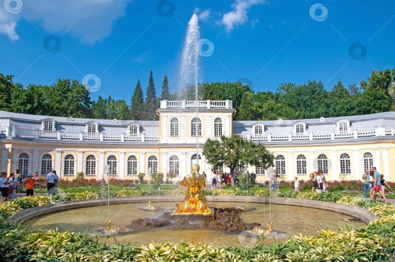 Скачать Санкт-Петербург, Россия - Оранжерея Петергофского дворца фотосток Ozero