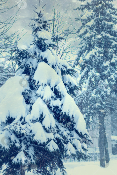 Скачать Винтажная открытка с зимним пейзажем. Рождественские елки в снегу. Снегопад. Счастливого Рождества и счастливого Нового года. Зимний фон. Вертикально фотосток Ozero
