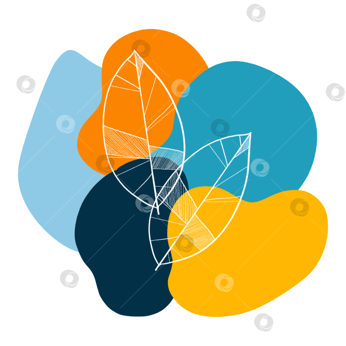Скачать Контур белых листьев на цветных абстрактных пятнах фотосток Ozero