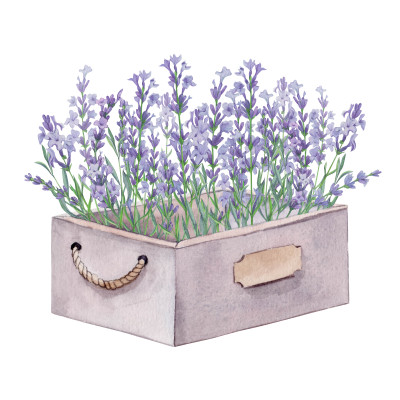[object Object] undefined
