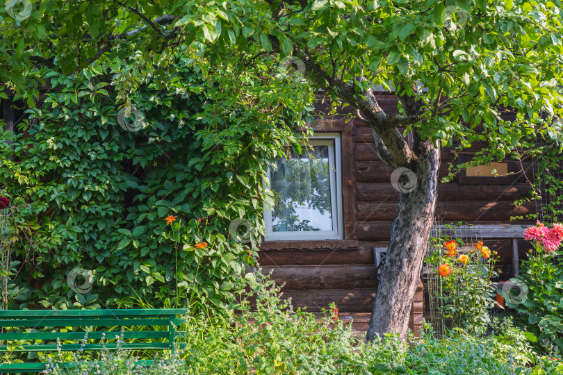 Скачать деревянный дом с цветущим садом фотосток Ozero