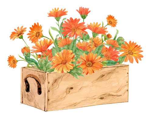 [object Object] undefined