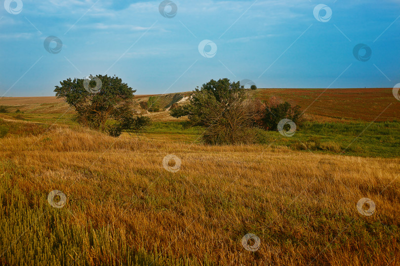 Скачать осенний пейзаж фотосток Ozero