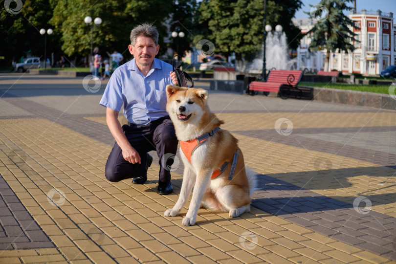 Скачать Взрослый мужчина гуляет с собакой породы акита в городском парке. фотосток Ozero