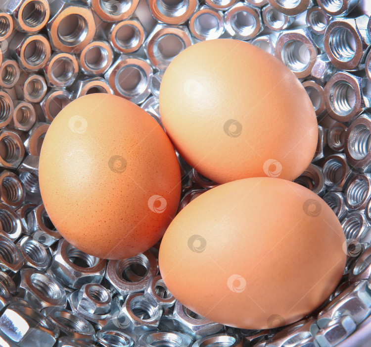 Скачать Куриные яйца лежат на завинчивающихся гайках. фотосток Ozero