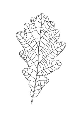 [object Object] undefined
