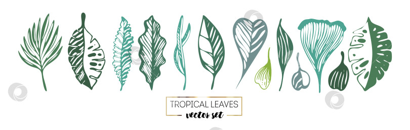 Скачать векторный набор тропических листьев фотосток Ozero