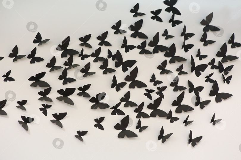 Скачать черные бумажные бабочки фотосток Ozero