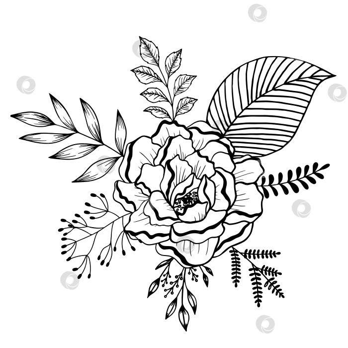 Скачать Композиция из цветка и различных листьев. Монохромный линейный рисунок. фотосток Ozero