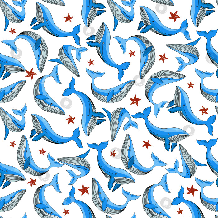 Скачать Синие мультяшные киты с морскими звездами, бесшовный узор. фотосток Ozero