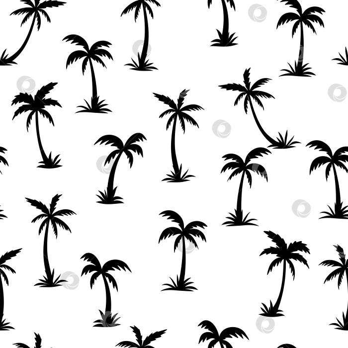 Скачать Бесшовная черно-белая пальма фотосток Ozero