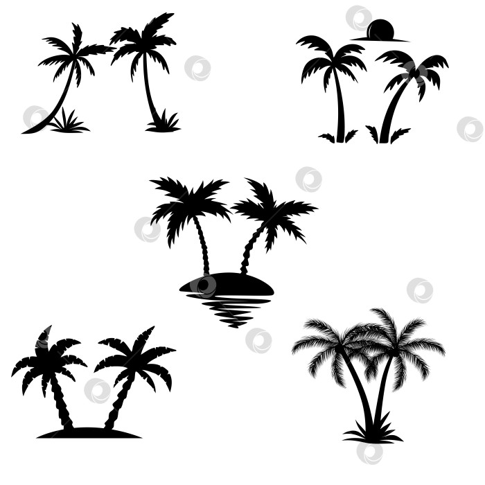 Скачать Установите черные пальмы, изолированные на белом фоне. Дизайн пальм для плакатов, баннеров и рекламных материалов. фотосток Ozero