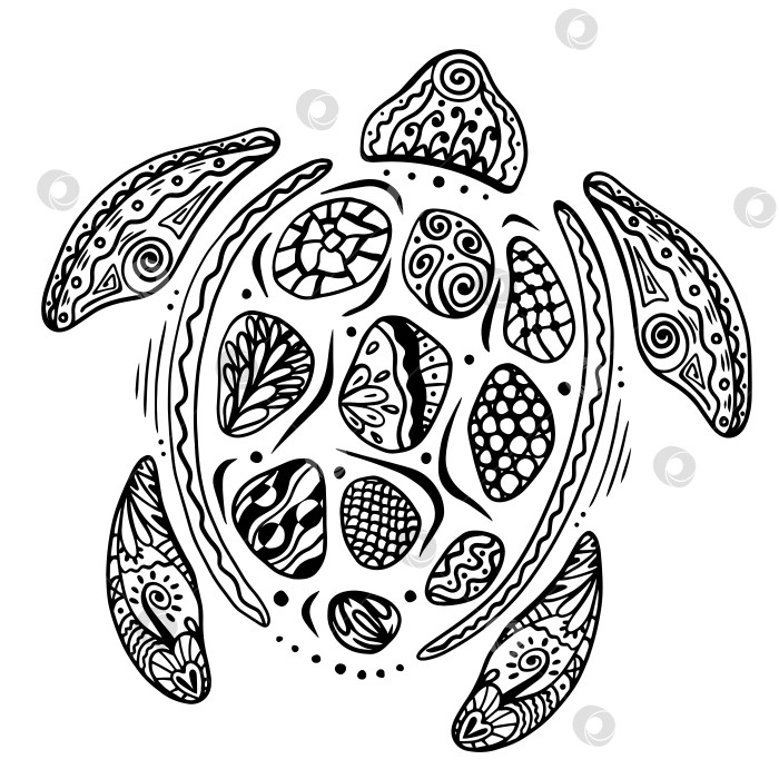 Скачать Зентангл, стилизованный под мультяшную черепаху. Нарисованный от руки эскиз для раскраски "антистресс" для взрослых, футболки, логотипа или татуировки с каракулями, зентанглом. фотосток Ozero