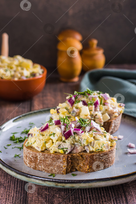 Скачать Шведский салат с анчоусами, картофелем и яйцом на ржаном хлебе на фотосток Ozero