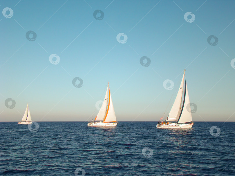 Скачать Гонка яхт на открытой воде в море фотосток Ozero