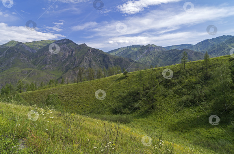 Скачать Алтайские горы. фотосток Ozero