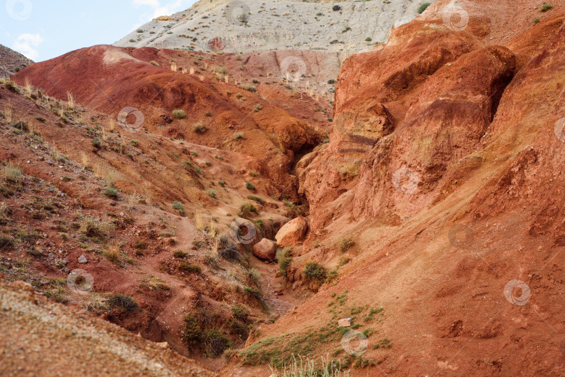 Скачать красочная горная местность. марсовы поля фотосток Ozero