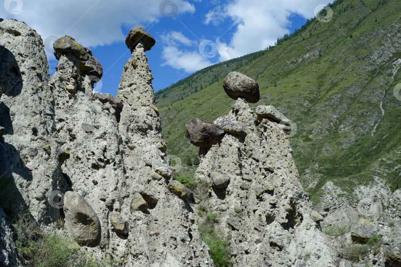 Скачать каменные грибы - пейзаж горного Алтая фотосток Ozero