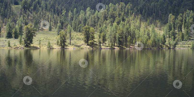 Скачать Спокойное горное озеро и деревья на берегу. Летний пейзаж фотосток Ozero