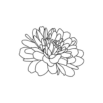 [object Object] undefined