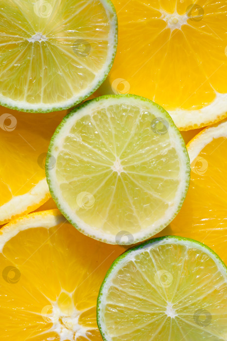 Скачать Зеленые и оранжевые ломтики лайма и апельсина. Фон фотосток Ozero