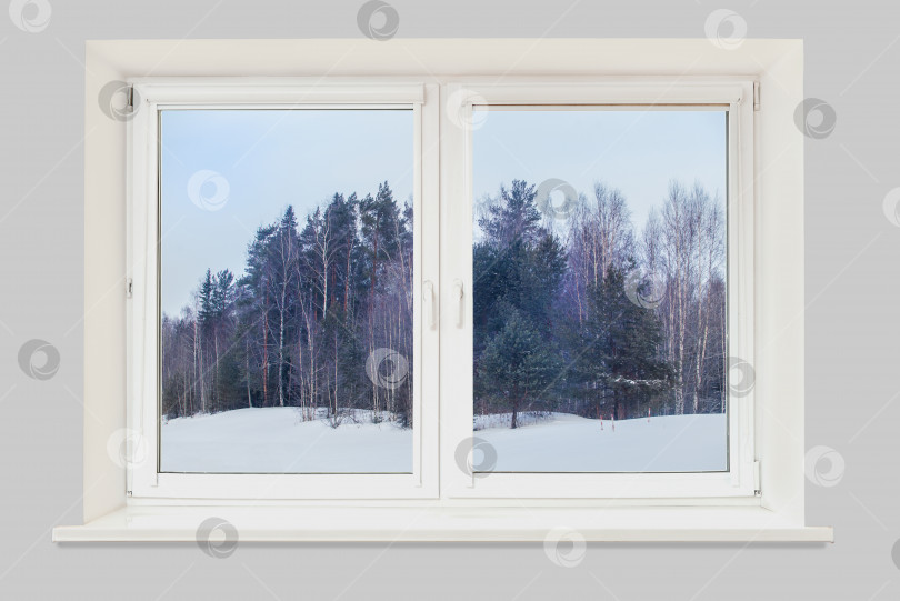 Скачать Вид из окна на зимний лес фотосток Ozero