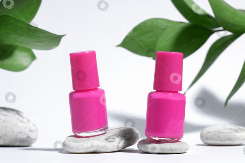 Скачать Фон для маникюра или педикюра. Креативный макет изолированных флакончиков косметики с розовым лаком для ногтей с растением, на камне, на белом фоне с резкими тенями от растений. Концепция ухода за ногтями. фотосток Ozero
