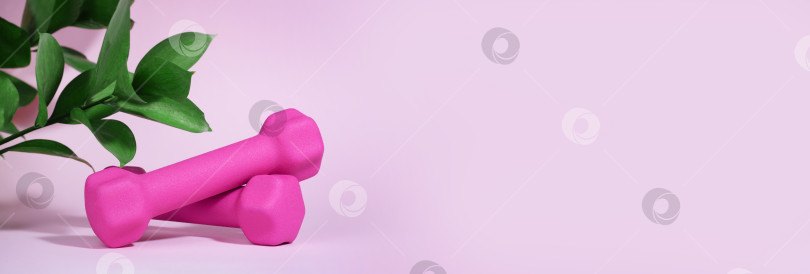 Скачать Розовые гантели выделены на розовом фоне резкими тенями и листьями. Концепция фитнеса, домашних тренировок, активности и спорта, здорового образа жизни. Здоровье женщин. Баннер. Пространство для копирования фотосток Ozero
