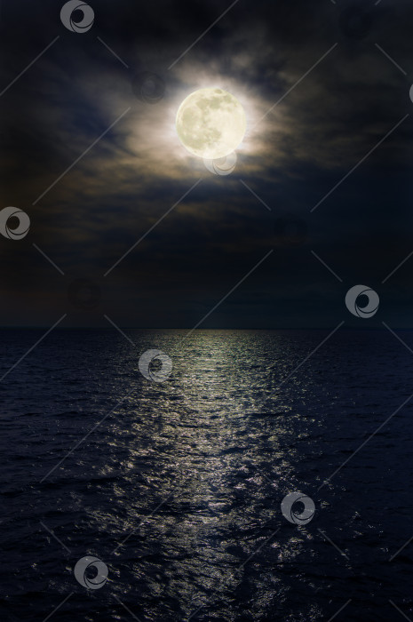 Скачать Полная луна ночью над морем фотосток Ozero