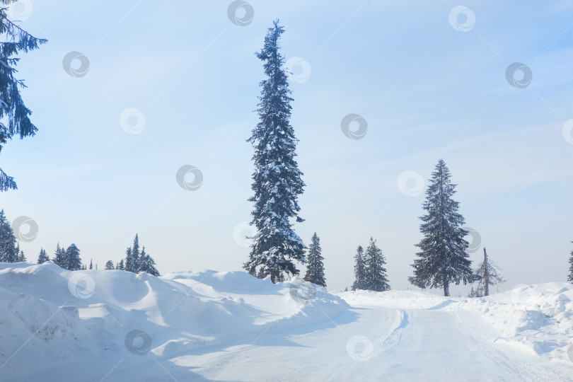 Скачать Заснеженная дорога в зимнем лесу фотосток Ozero