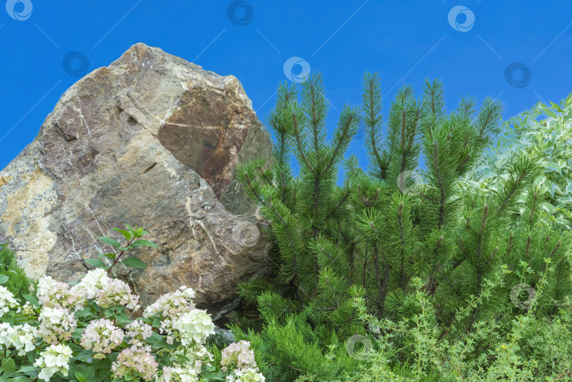 Скачать Скала, обрамленная цветами и хвойной растительностью на фоне голубого неба. фотосток Ozero