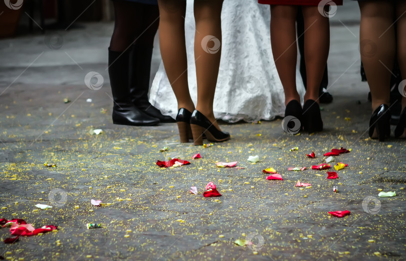 Скачать Невеста с подружками невесты внизу фотосток Ozero