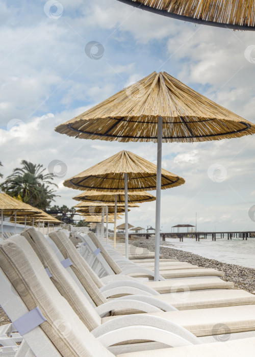 Скачать Пляжные шезлонги и зонтики, стоящие в ряд на берегу моря. фотосток Ozero