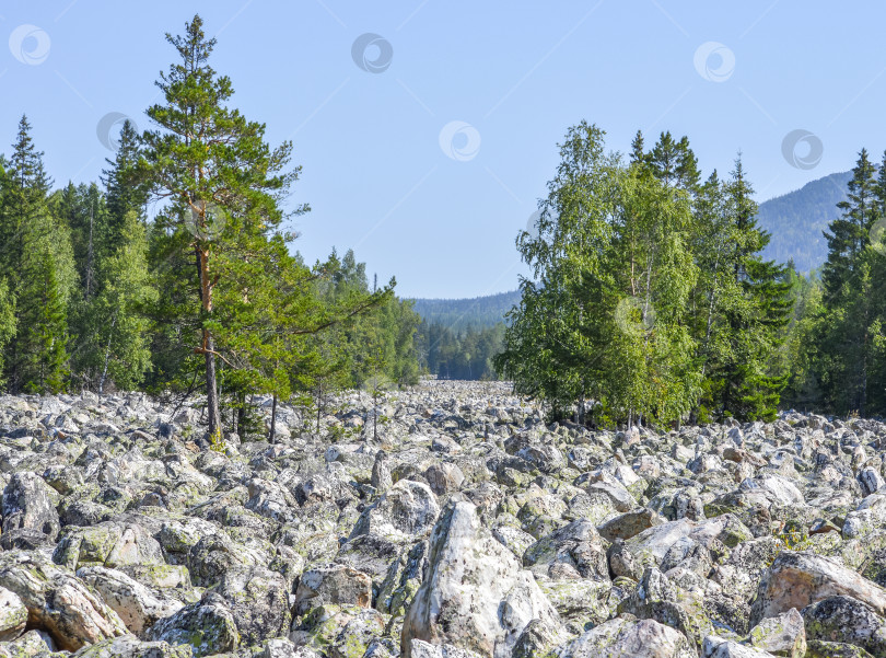 Скачать Каменная река на Южном Урале. фотосток Ozero